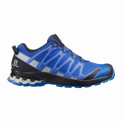 Salomon XA PRO 3D v8 GORE-TEX - Miesten Ulkoilukengät - Mustat/Sininen